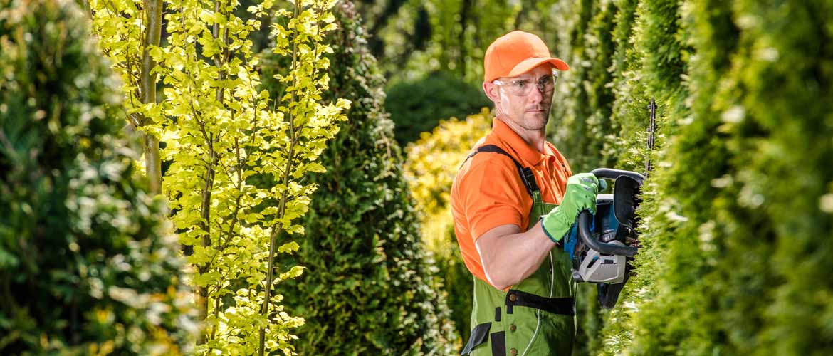 Man working outside trimming bushes